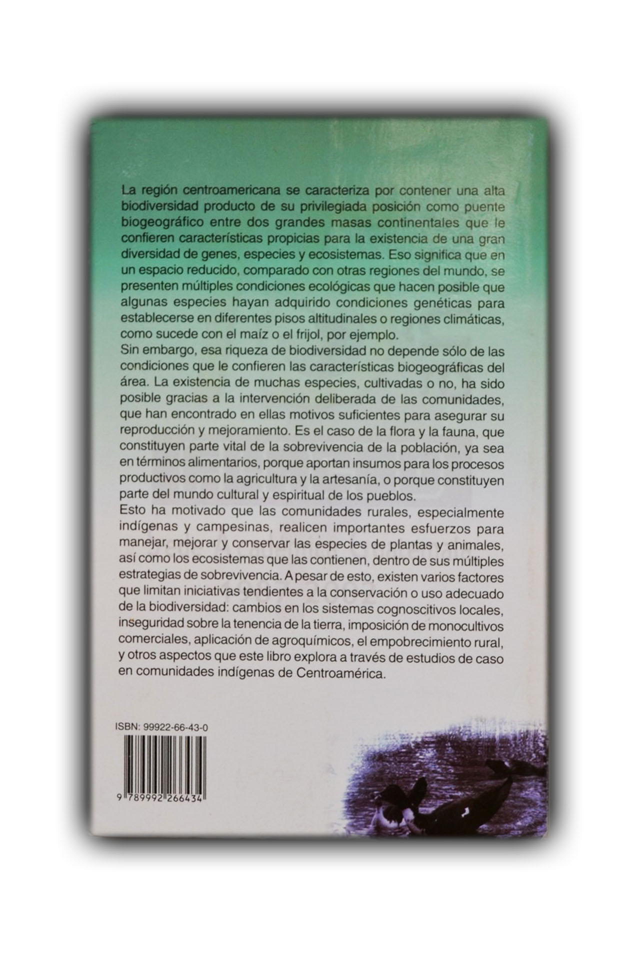 Género y biodiversidad en comunidades indígenas de Centroamérica - Imagen 2