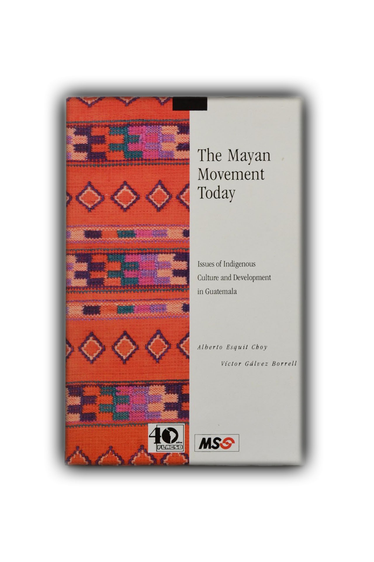 The Mayan Movement Today