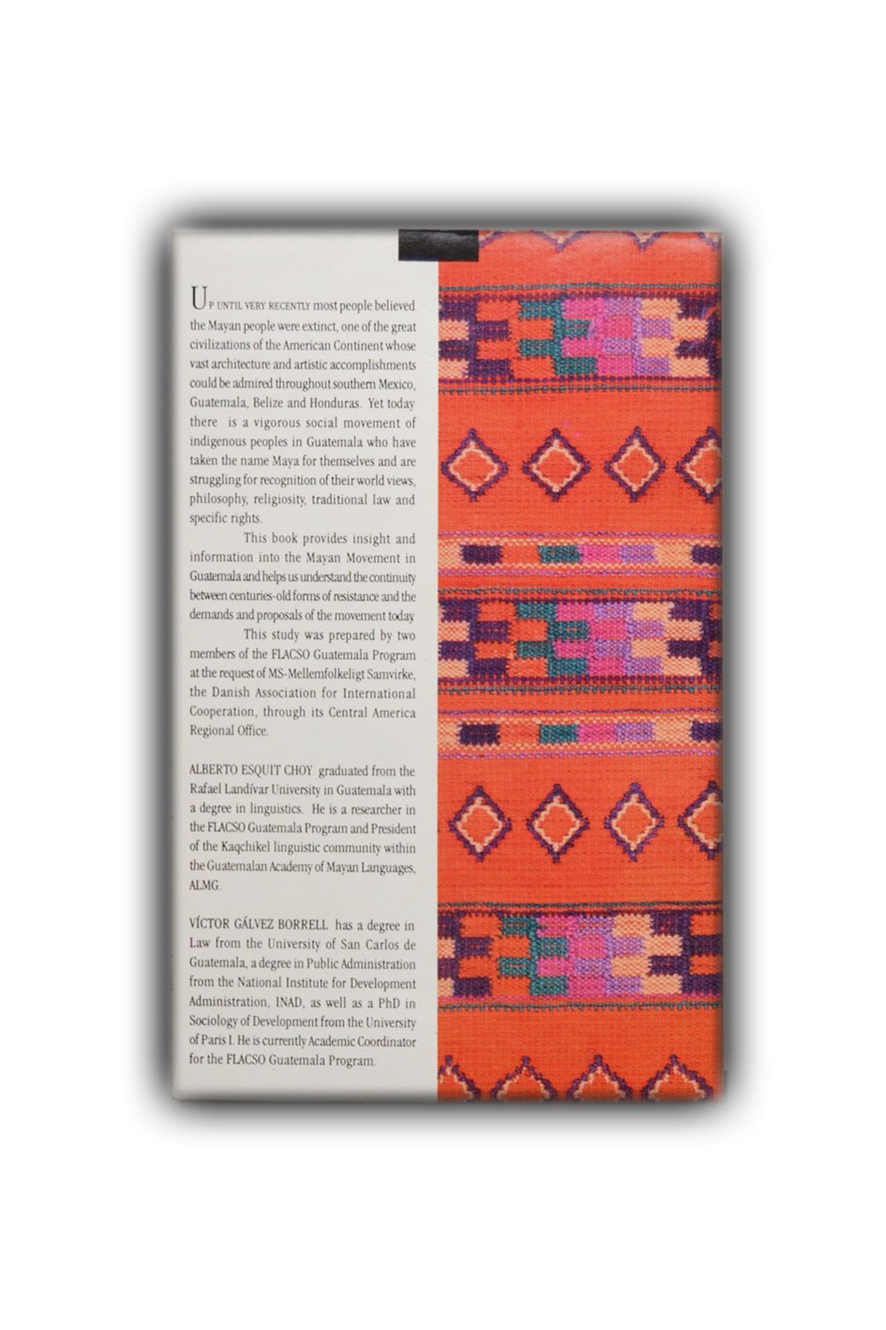 The Mayan Movement Today - Imagen 2